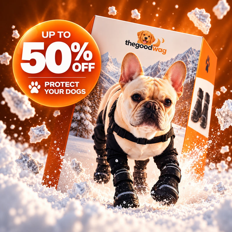 WagGuard™ Winter Leg Boots